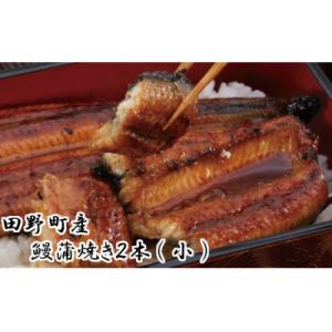 ふるさと納税 田野町 【四国一小さなまち】田野町...の商品画像