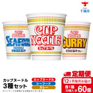 ふるさと納税 千歳市 【定期便12か月】日清ヌー...の商品画像