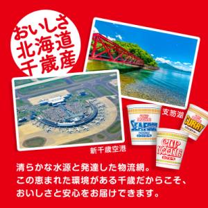 ふるさと納税 千歳市 【定期便12か月】日清ヌ...の詳細画像2