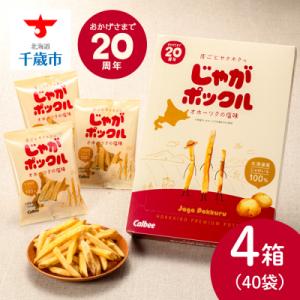 ふるさと納税 千歳市 北海道限定カルビー じゃがポックル(10袋入り4箱)