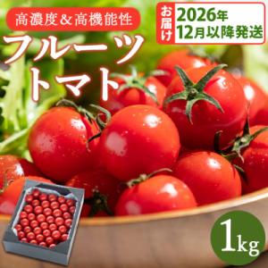 ふるさと納税 香南市 高糖度フルーツトマト 高知県 1kg kr-0083