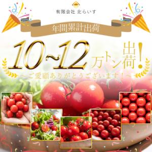 ふるさと納税 香南市 高糖度フルーツトマト 高...の詳細画像1