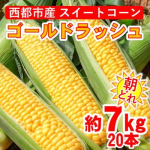 ふるさと納税 西都市 【先行受付】西都市産朝どれスイートコーン(ゴールドラッシュ)約7kg[2425]