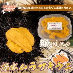 ふるさと納税 豊浦町 ※先行受付 うに 塩水ムラサキウニ 80g 北海道豊浦 噴火湾【配送不可地域:...