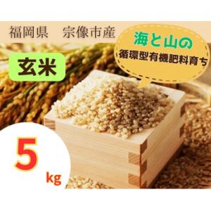 ふるさと納税 宗像市 循環型有機肥料で育った玄米【1】ゆめつくし【2】ぴかまる5kg【アグリCATS】_HA1439