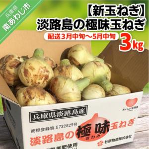 ふるさと納税 南あわじ市 【新玉ねぎ】至極の味　淡路島の極味玉ねぎ　3kg　◆配送3月中旬〜5月中旬