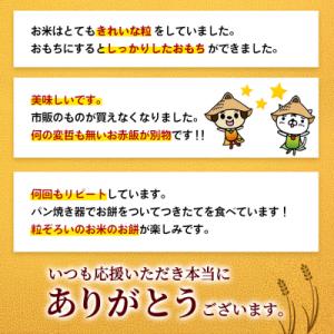 ふるさと納税 神埼市 令和7年産 佐賀県産ひよ...の詳細画像3