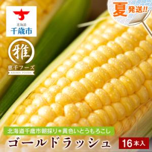 ふるさと納税 千歳市 【2027年夏発送】 とうもろこし ゴールドラッシュ L〜2L 16本