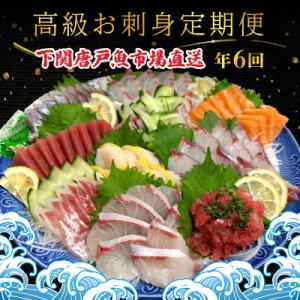 ふるさと納税 下関市 【定期便年6回】 唐戸市場直送 高級お刺身 各2人前 隔月発送 冷凍 真空 鮮...