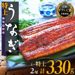 ふるさと納税 大崎町 鹿児島県産うなぎ長蒲焼2尾の商品画像