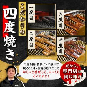 ふるさと納税 大崎町 鹿児島県産うなぎ長蒲焼2尾の詳細画像1