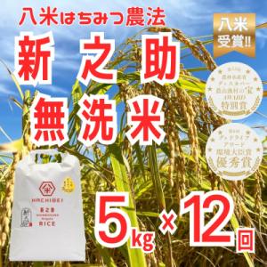 ふるさと納税 阿賀野市 【令和8年産新米先行受付...の商品画像