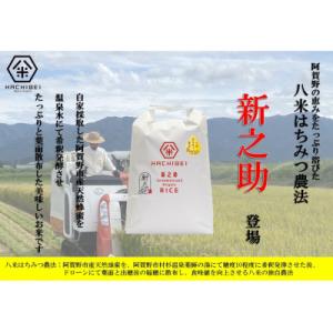 ふるさと納税 阿賀野市 【令和8年産新米先行受...の詳細画像1