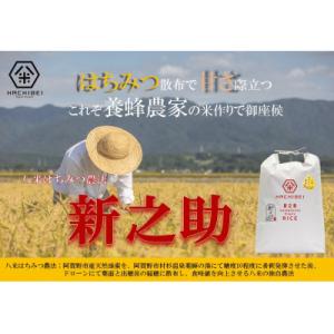 ふるさと納税 阿賀野市 【令和8年産新米先行受...の詳細画像2