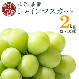 ふるさと納税 長井市 【2026年発送】山形のぶどう(ご家庭用訳ありシャインマスカット)約2kg(2〜10房)_H196