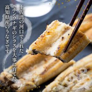 ふるさと納税 香南市 高知県産うなぎの白焼き ...の詳細画像2