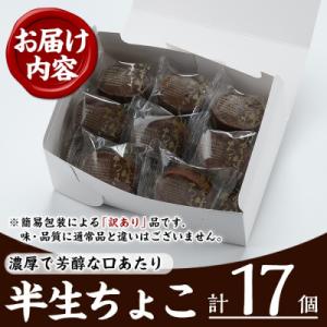ふるさと納税 いちき串木野市 【訳あり】半生ち...の詳細画像2