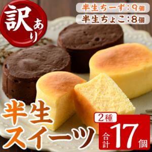 ふるさと納税 いちき串木野市 【訳あり】半生ちーず・半生ちょこ スフレ チーズケーキ と チョコレー...