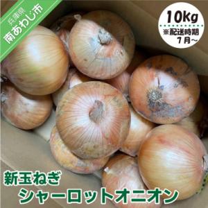 ふるさと納税 南あわじ市 新玉ねぎ シャーロットオニオン 10kg ◆配送7月上旬〜11月末