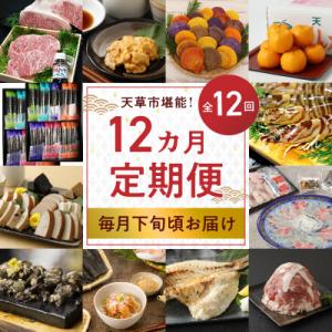 ふるさと納税 天草市 【定期便12回】天草市堪能12ヵ月定期便_S999-T04