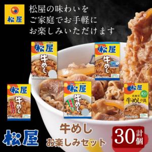 ふるさと納税 嵐山町 松屋牛めしの具5種30個　お楽しみセット[No.5755-0295]