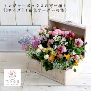 ふるさと納税 山口市 花うるるのおまかせ寄せ植え「トレジャーBOX」Sサイズ〜季節の花をアレンジ D015
