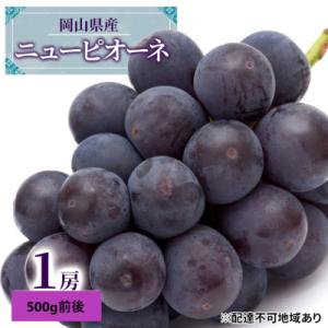 ふるさと納税 瀬戸内市 【2026年先行受付】 ニュー ピオーネ 1房 500g前後 岡山県産[No.5735-1887]