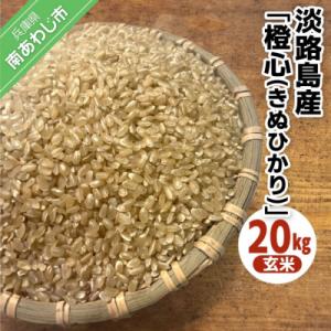 ふるさと納税 南あわじ市 【令和8年度産】淡路島産「橙心(きぬひかり)」　玄米20kg