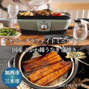 ふるさと納税 加西市 アラジン グラファイトミニ...の商品画像