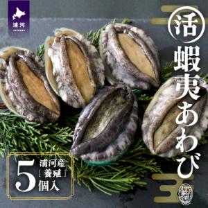 ふるさと納税 浦河町 【12月発送!】活蝦夷あわび×5個[46-1344]