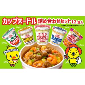 ふるさと納税 池田市 日清食品「インスタントラーメン発祥の地・大阪池田」お手頃ハーフサイズセット