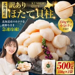 ふるさと納税 釧路市 【訳あり】北海道産 ほたて貝柱 250g×2袋 500g ふるさと納税 帆立