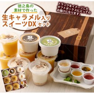 ふるさと納税 天城町 徳之島の素材で作った 生キャラメル入りスイーツDXセット シークニン ゼリー ...