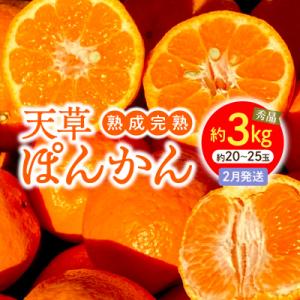 ふるさと納税 天草市 香りを食す!熟成完熟天草ぽんかん 2月発送 約3kg秀品〈先行受付〉_S117...