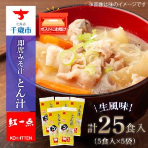 ふるさと納税 千歳市 とん汁 インスタント 味噌汁 みそ汁 即席 5食入×5袋 【紅一点】《千歳工場...