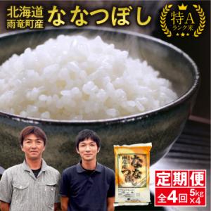 ふるさと納税 雨竜町 定期便 北海道産 ななつぼし 精米 定期便 5kg 4回 特A 雨竜町 お米 米 厳選 人気