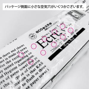ふるさと納税 富士市 ペーパータオル 30パッ...の詳細画像2
