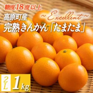 ふるさと納税 高原町 高原町産完熟きんかん『たまたまエクセレント』金柑1kg《ご贈答・ギフト》　TF...