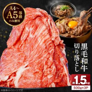 ふるさと納税 天草市 A4〜A5等級 黒毛和牛 切り落とし 1.5kg(500g×3P)_S001-...