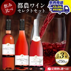 ふるさと納税 都農町 ＼年内発送!!/都農ワインセレクトセット(合計3本) 酒 飲料_T014-00...