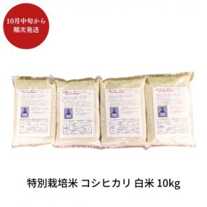 ふるさと納税 三条市 特別栽培米コシヒカリ 白米 10kg 令和7年産 [佐藤農産]【018S050】