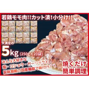 ふるさと納税 善通寺市 カット済!味付き!若鶏小分けもも切身 5kg (250g×20袋)