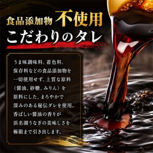 ふるさと納税 焼津市 浜名湖うなぎ【特大】蒲焼...の詳細画像2