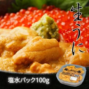 ふるさと納税 根室市 エゾバフンウニ塩水パック100g×1P A-61001