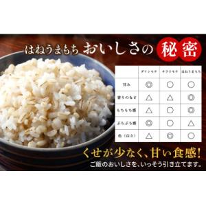 ふるさと納税 つがる市 [青森県産もち麦] つ...の詳細画像3