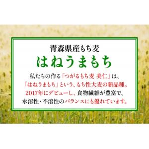ふるさと納税 つがる市 [青森県産] つがるも...の詳細画像2