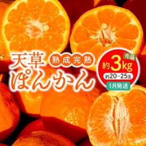 ふるさと納税 天草市 香りを食す!熟成完熟天草ぽんかん 1月発送 約3kg秀品〈先行受付〉_S117...
