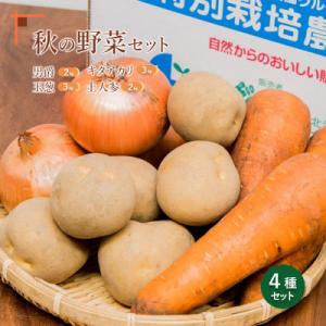 ふるさと納税 恵庭市 【先行受付】秋の野菜4品セット【31000603】