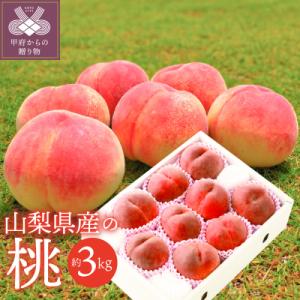 ふるさと納税 甲府市 〈2026年度先行受付〉山梨県産 桃 約3kg(8〜12玉)