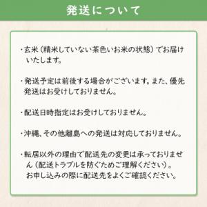 ふるさと納税 境町 米 玄米 コシヒカリ 30...の詳細画像2